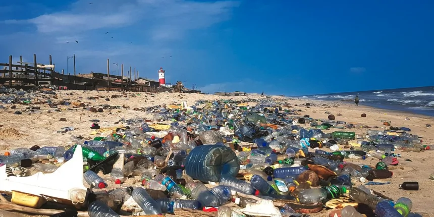 MMA cria Comissão Nacional de Incentivo à Reciclagem
