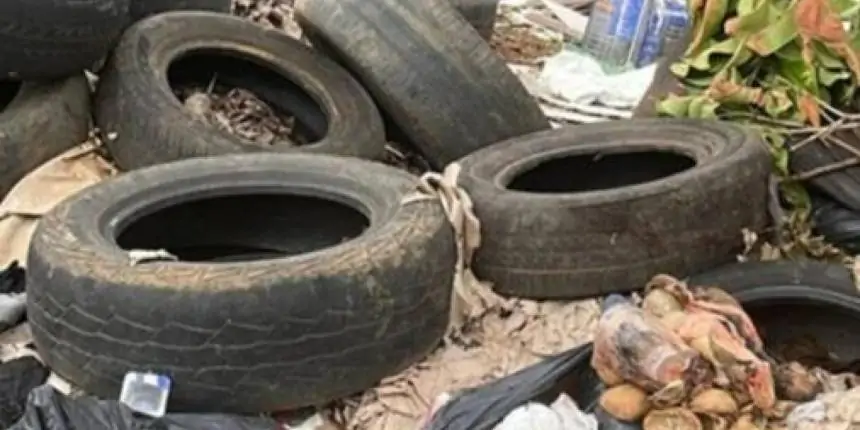 Reciclagem é educação, não milagre