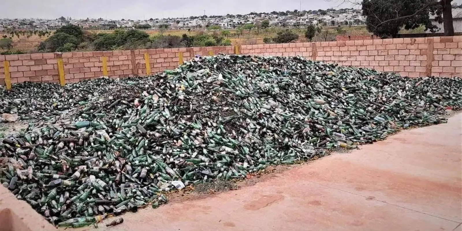 Reciclagem em MS: desafios e soluções que permitiram a reutilização de 50 mil toneladas em dois anos